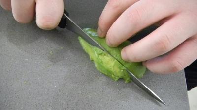 Spaghettis moléculaires aux avocats - 10.1