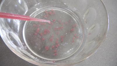 Billes moléculaires et larmes de cassis au Floc de Gascogne - 4.2