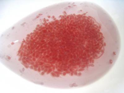 Billes moléculaires