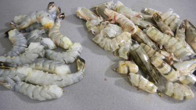 Beignets de crevettes ou gambas - 1.1