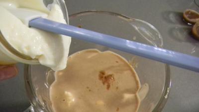 Yaourts aux carambars et au caramel - 5.2