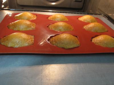 Madeleines de Commercy - 4.2