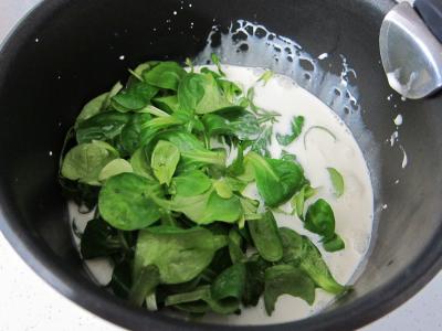 Mâche en sauce - 2.1