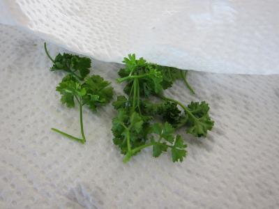 Salade et sauce au parfum de Russie - 3.2