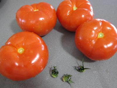 Tomates farcies chipolatas et merguez - 2.1