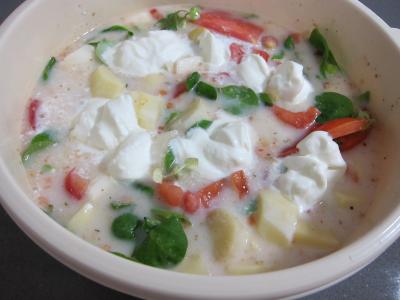 Mâche en velouté et sa gaufrette à la mozzarella - 6.1