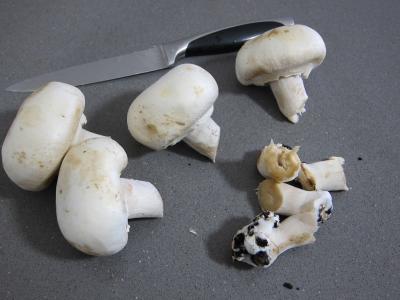 Fenouil en velouté et aux knackis (saucisses de Strasbourg) - 3.2