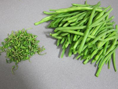 Haricots verts à la portugaise - 1.1