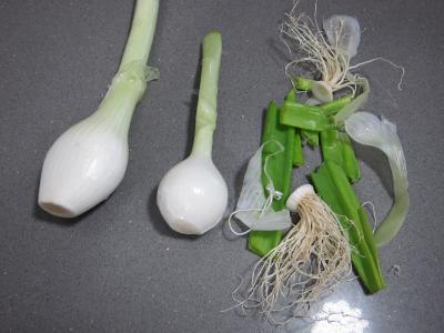 Haricots verts à la portugaise - 2.1