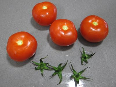 Haricots verts à la portugaise - 2.3