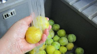 Confiture de prunes blanches - 1.1