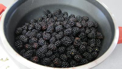 Confiture de mûres - 1.1