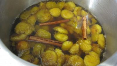 Liqueur de mirabelles au gin - 2.3