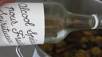 Liqueur de mirabelles au gin - 3.1