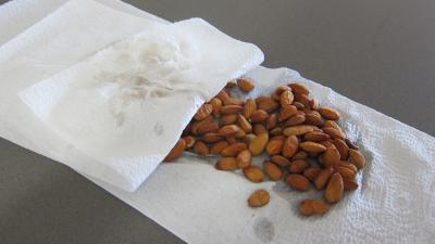 Palets aux amandes - 3.1
