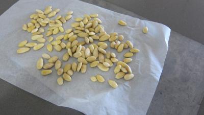 Palets aux amandes - 3.3