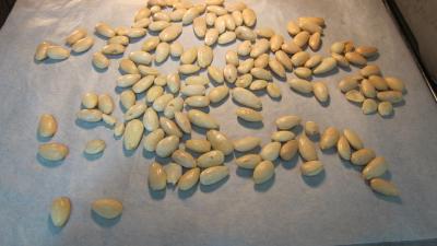 Palets aux amandes - 4.1