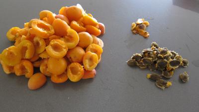 Confiture d'abricots au parfum de noix de coco - 1.2
