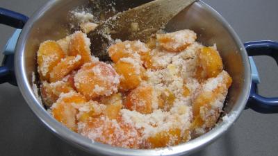 Confiture d'abricots au parfum de noix de coco - 2.1