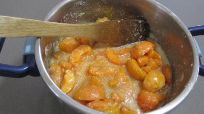 Confiture d'abricots au parfum de noix de coco - 3.2