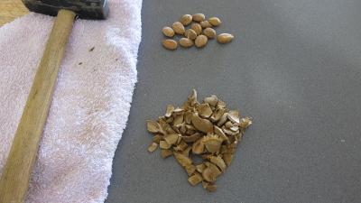 Amarettis revisitées - 1.1