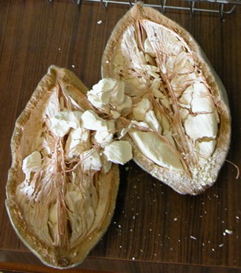 Pain de singe