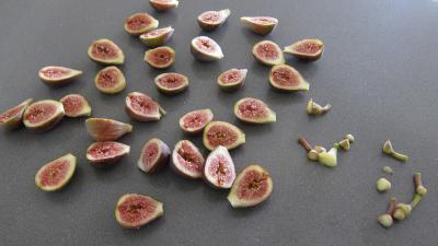 Compotée de chou aux figues et aux pommes - 1.3