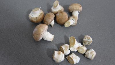 Loup de mer et sa sauce au champagne - 1.1